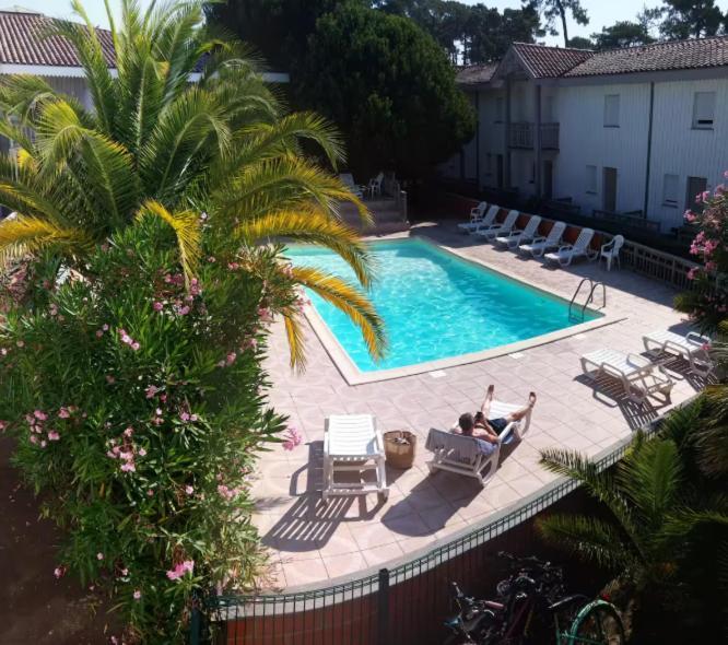 Piscine Cap Ferret 50m Du Bassin Et Des Commerces Apartment